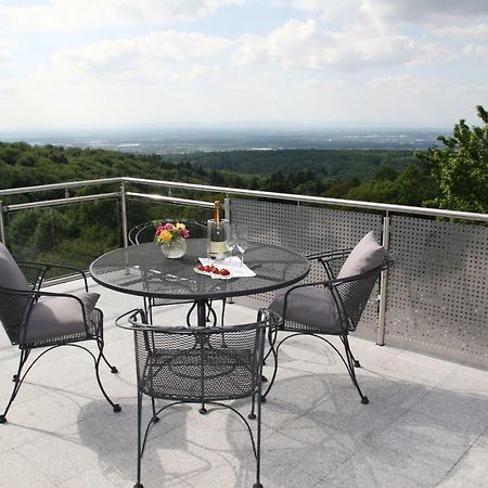 Apartment Sonnenterrasse Baden-Baden Zewnętrze zdjęcie