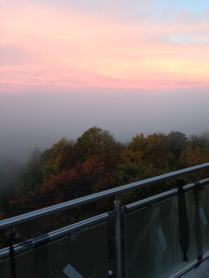 Apartment Sonnenterrasse Baden-Baden Zewnętrze zdjęcie